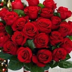 Meet your Posher, Safa